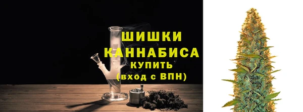 ПСИЛОЦИБИНОВЫЕ ГРИБЫ Навашино