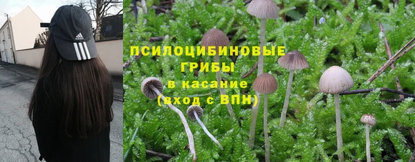 ПСИЛОЦИБИНОВЫЕ ГРИБЫ Навашино
