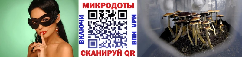 Псилоцибиновые грибы Cubensis  darknet состав  Шимановск 